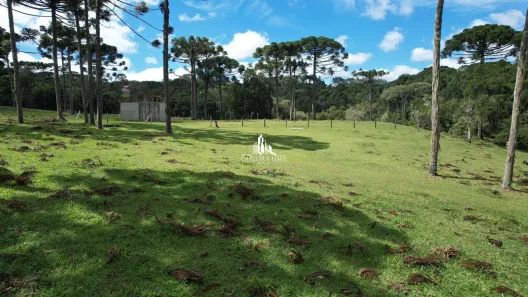 Fazenda/Sítio à venda, 55000m² no Mandassaia, Campina Grande do Sul
