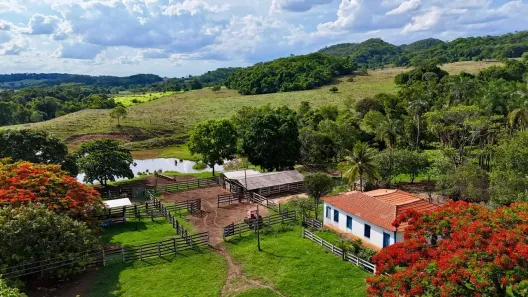 Fazenda/Sítio com 5 Quartos à venda, 47m² no Área Rural de Piracanjuba, Piracanjuba