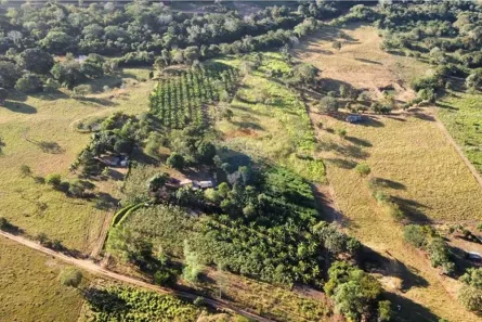 à venda, 162800m² no , Guiratinga
