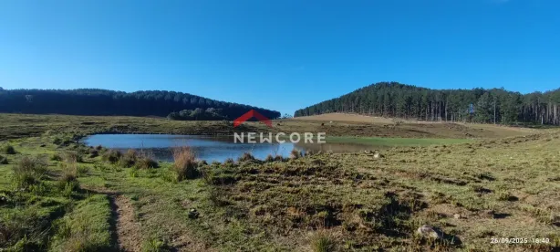 Lote/Terreno à venda, 220000m² no Centro, São Francisco de Paula