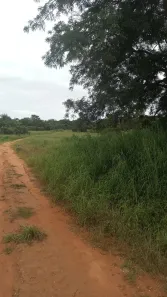Fazenda/Sítio à venda, 1602m² no Centro, Araguaiana