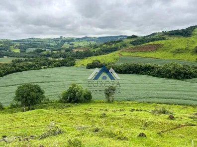 Fazenda/Sítio com 4 Quartos à venda, 762300m² no , Catanduvas
