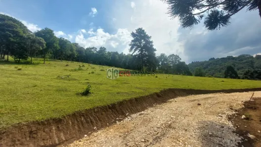 Fazenda/Sítio com 1 Quarto à venda, 20050m² no Área Rural, Bocaiúva do Sul
