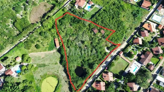 Lote/Terreno à venda, 11000m² no Ebenezer, Gravatá