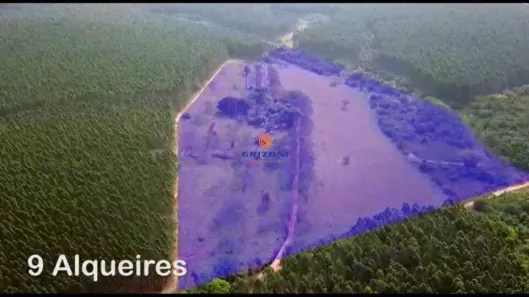 Fazenda/Sítio com 3 Quartos à venda, 9m² no Área Rural de Piratininga, Piratininga
