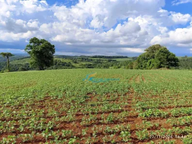 Fazenda/Sítio à venda, 219000m² no , Catanduvas