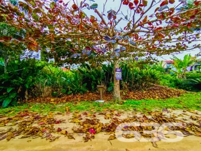Lote/Terreno à venda, 300m² no Praia do Ervino, São Francisco do Sul
