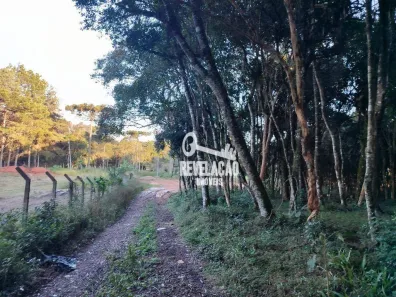 Fazenda/Sítio à venda, 3054m² no Borda do Campo, São José dos Pinhais