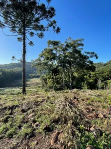 Fazenda/Sítio à venda, 67811m² no Industrial, Dois Irmãos