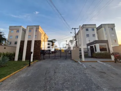 Apartamento com 2 Quartos para alugar, 39m² no Bom Viver, Biguaçu
