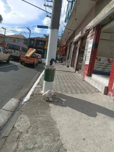 Sala Comercial para alugar, 120m² no Chácara Belenzinho, São Paulo