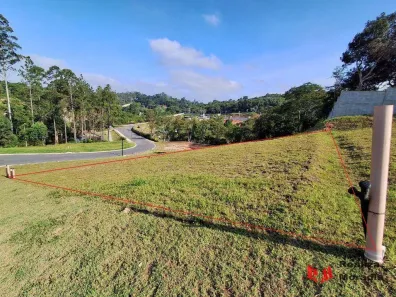Lote/Terreno à venda, 501m² no Pitas, Cotia