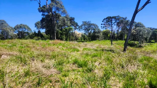 Lote/Terreno à venda, 20000m² no , Urubici