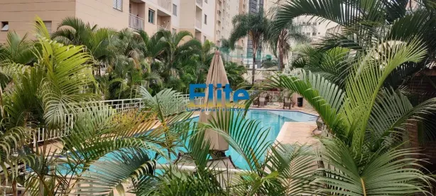 Apartamento com 2 Quartos à venda, 50m² no Bonfim, Campinas