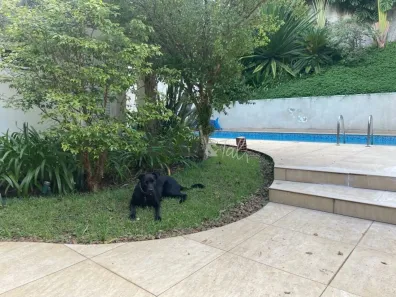 Casa com 7 Quartos para alugar, 570m² no Chácara Monte Alegre, São Paulo