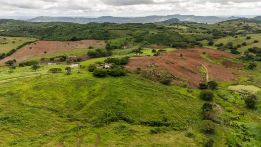 Fazenda/Sítio à venda, 1610000m² no , Mogeiro