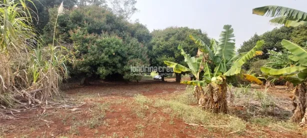 Lote/Terreno à venda, 72600m² no Rural, Ibiporã