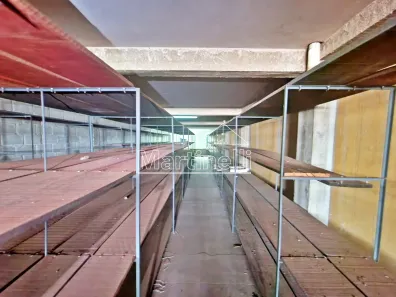 Imóvel Comercial à venda, 250m² no Vila Abranches, Ribeirão Preto