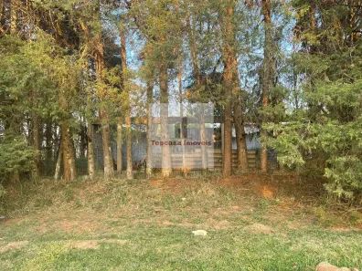 Lote/Terreno à venda, 250m² no Jardim das Palmeiras (Zona Sul), São Paulo