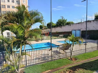 Apartamento com 2 Quartos à venda, 53m² no Jardim Nazareth, São José do Rio Preto