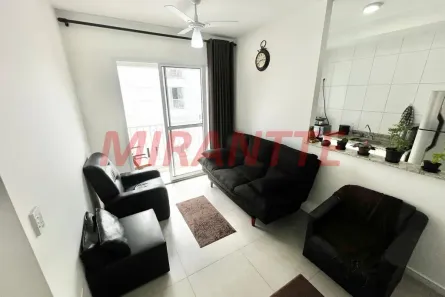 Apartamento com 2 Quartos à venda, 55m² no Jardim das Laranjeiras, São Paulo