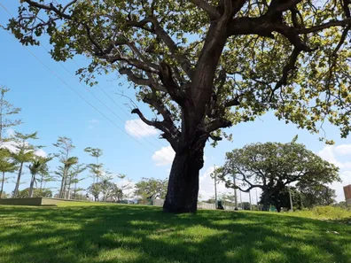 Lote/Terreno à venda, 150m² no Aquiraz, Aquiraz