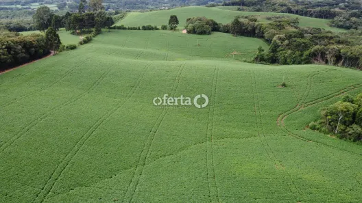 Fazenda/Sítio à venda, 100m² no , Balsa Nova
