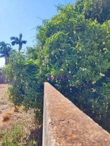 Lote/Terreno à venda, 750m² no Jardim Tarraf, São José do Rio Preto