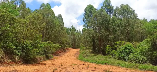 Lote/Terreno à venda, 20000m² no São Paulo, Matozinhos