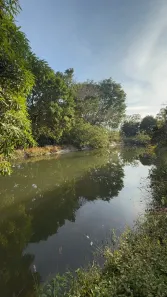 Fazenda/Sítio com 4 Quartos à venda, 67000m² no Residencial Santos Dumont, Brasília