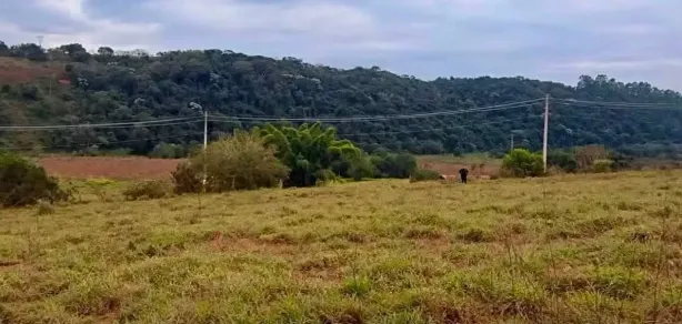 Lote/Terreno à venda, 1000m² no , Silvianópolis