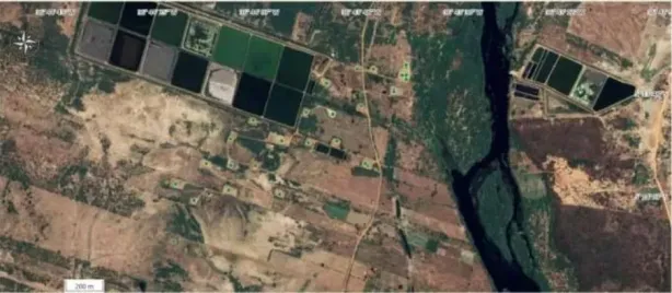 Fazenda/Sítio à venda, 410000m² no Centro, Carnaubais