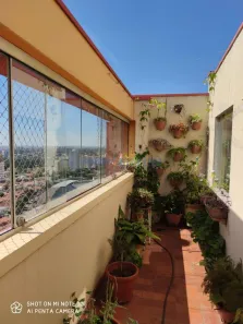 Cobertura com 3 Quartos à venda, 170m² no Ponte Preta, Campinas
