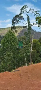 Fazenda/Sítio à venda, 31400m² no , Santa Leopoldina