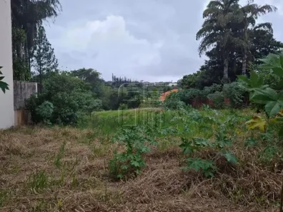Lote/Terreno à venda, 2531m² no Bela Suiça, Londrina