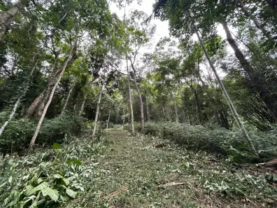 Lote/Terreno à venda, 172990m² no Ressacada, Garopaba