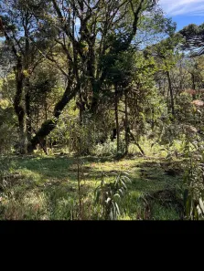 Lote/Terreno à venda, 20000m² no Urubici, Urubici