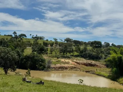 Fazenda/Sítio com 2 Quartos à venda, 193600m² no Setor Central, Buriti de Goiás