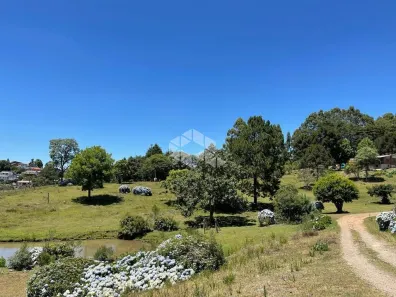 Fazenda/Sítio com 3 Quartos à venda, 35096m² no Serrano, Caxias do Sul