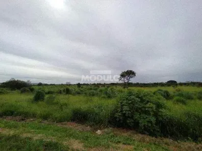 Lote/Terreno para alugar, 42000m² no Conjunto Alvorada, Uberlândia