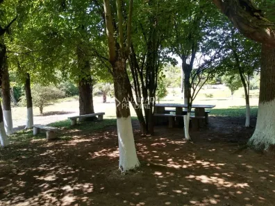 Fazenda/Sítio à venda, 107000m² no , São Sebastião do Caí