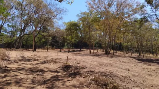 Fazenda/Sítio com 5 Quartos à venda, 900m² no Rosa dos Ventos, Aparecida de Goiânia