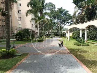 Apartamento com 3 Quartos à venda, 75m² no Jardim Ampliação, São Paulo