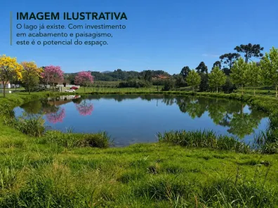 Fazenda/Sítio à venda, 9439m² no Bateias de Baixo, Campo Alegre