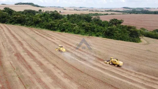 Fazenda/Sítio à venda, 520300m² no Padre Rino Nogarotto, Ibiporã