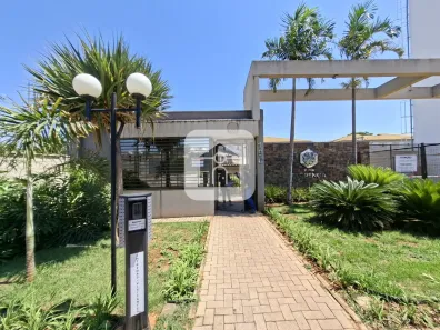 Apartamento com 2 Quartos para alugar, 48m² no Pacaembu, Uberlândia