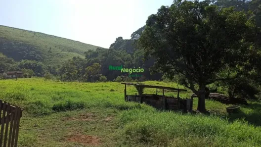 Fazenda/Sítio à venda, 160000m² no Centro, Piquete