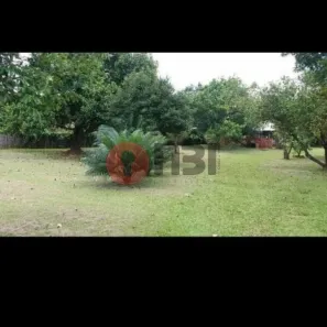 Fazenda/Sítio com 3 Quartos à venda, 300m² no Jardim Nunes, São José do Rio Preto