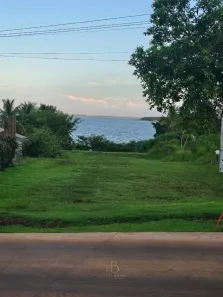 Lote/Terreno com 1 Quarto à venda, 1m² no , Sertaneja