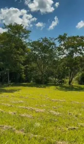 Lote/Terreno à venda, 20000m² no , Presidente Castelo Branco